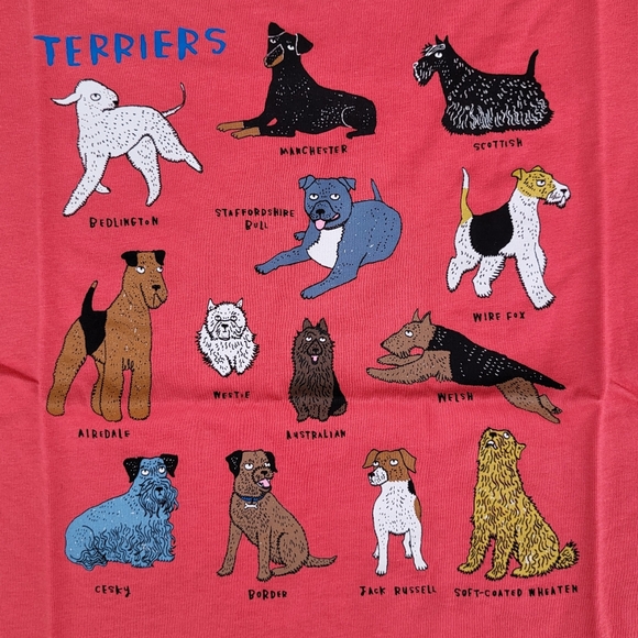 Mini Boden Other - NWT MB terrier tee